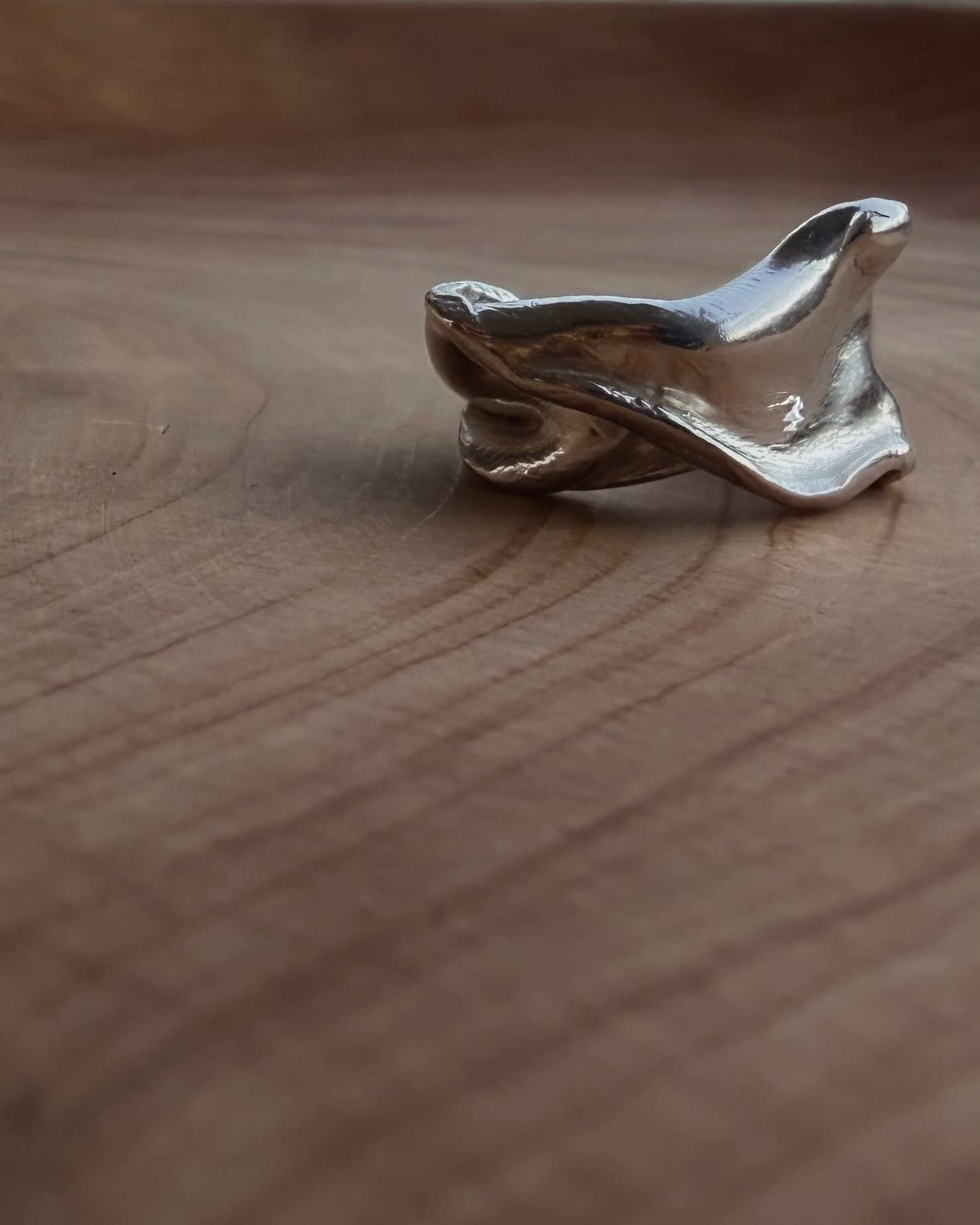 Anillo plata 950 artesanal chileno técnica cera perdida pieza única Movimiento Congelado Santiago