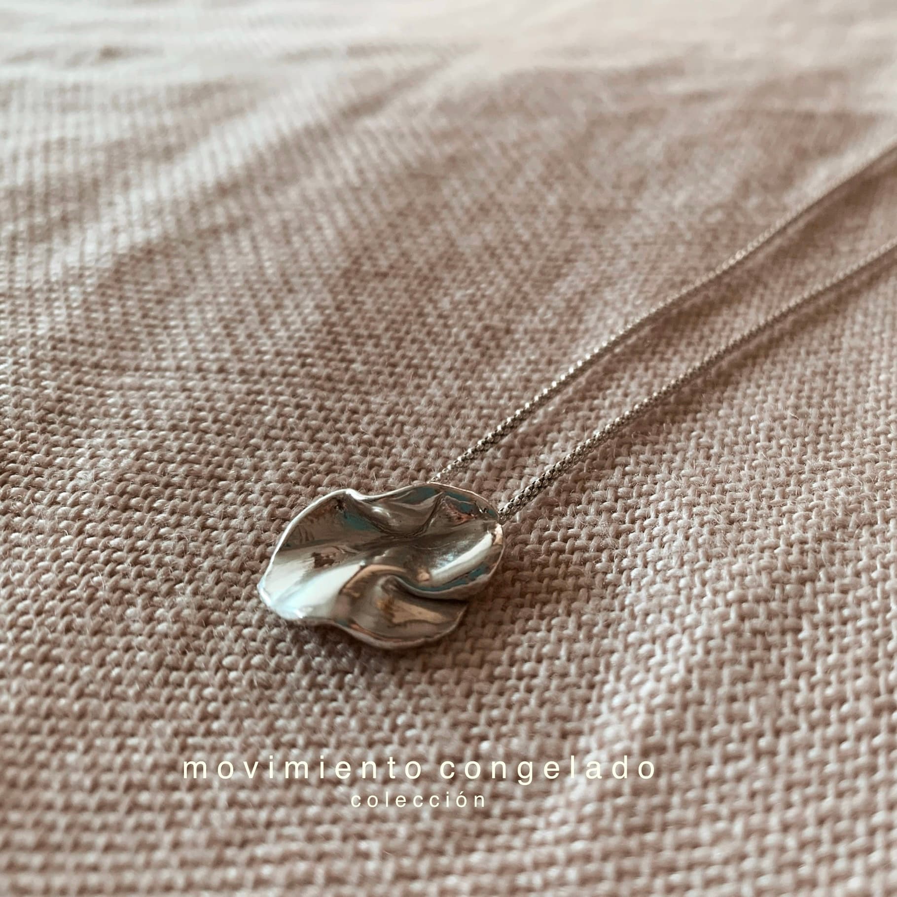 Colgante Movimiento Congelado - Forma Orgánica en Plata - 1